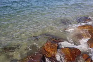 2025-07-21 Cpt. Cook Brdg. Walk - IMG_3793_compressed_q80.webp